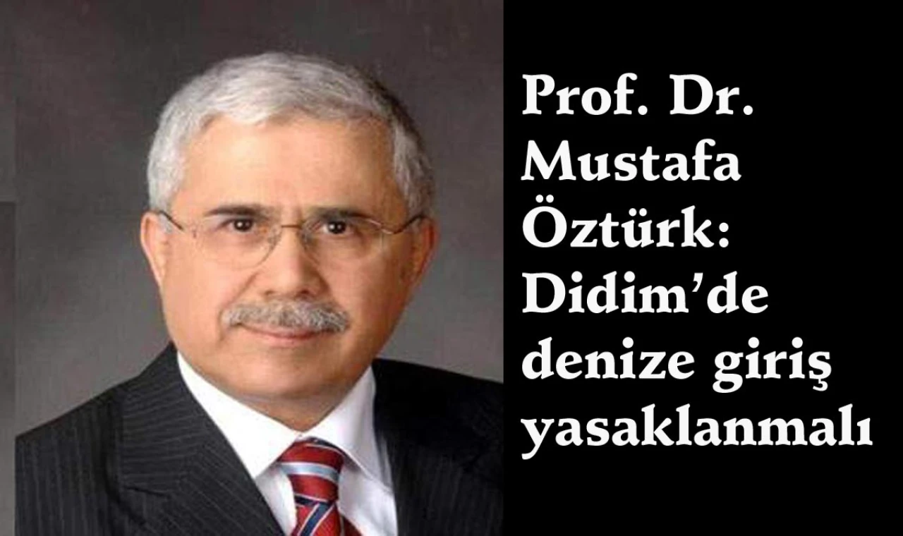 Bir müsteşar profesörün isyanı