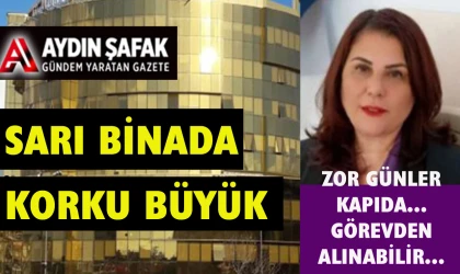 Özlem Çerçioğlu aniden görevden alınabilir…